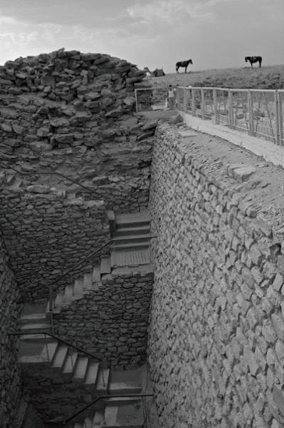 HorsesNearPyramid_Nov27_2014_Egypt