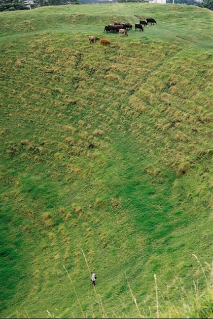 photos-2017-4-18-1-44-2