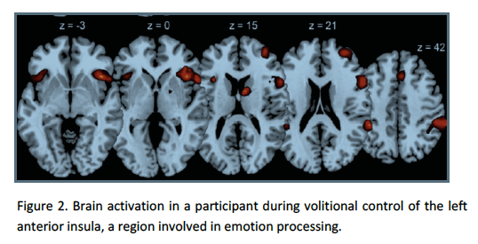 Screen Shot 2017-04-17 at 11.00.36 AM