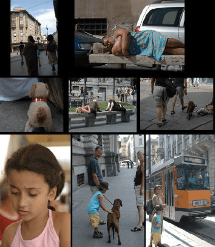 Screen Shot 2017-04-17 at 9.49.45 PM.png