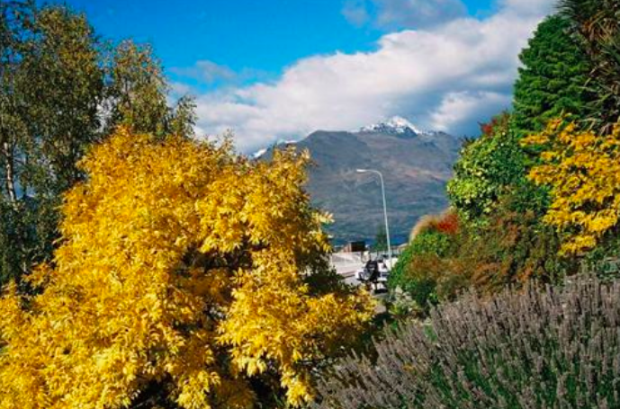 Screen Shot 2017-04-18 at 3.59.50 PM.png